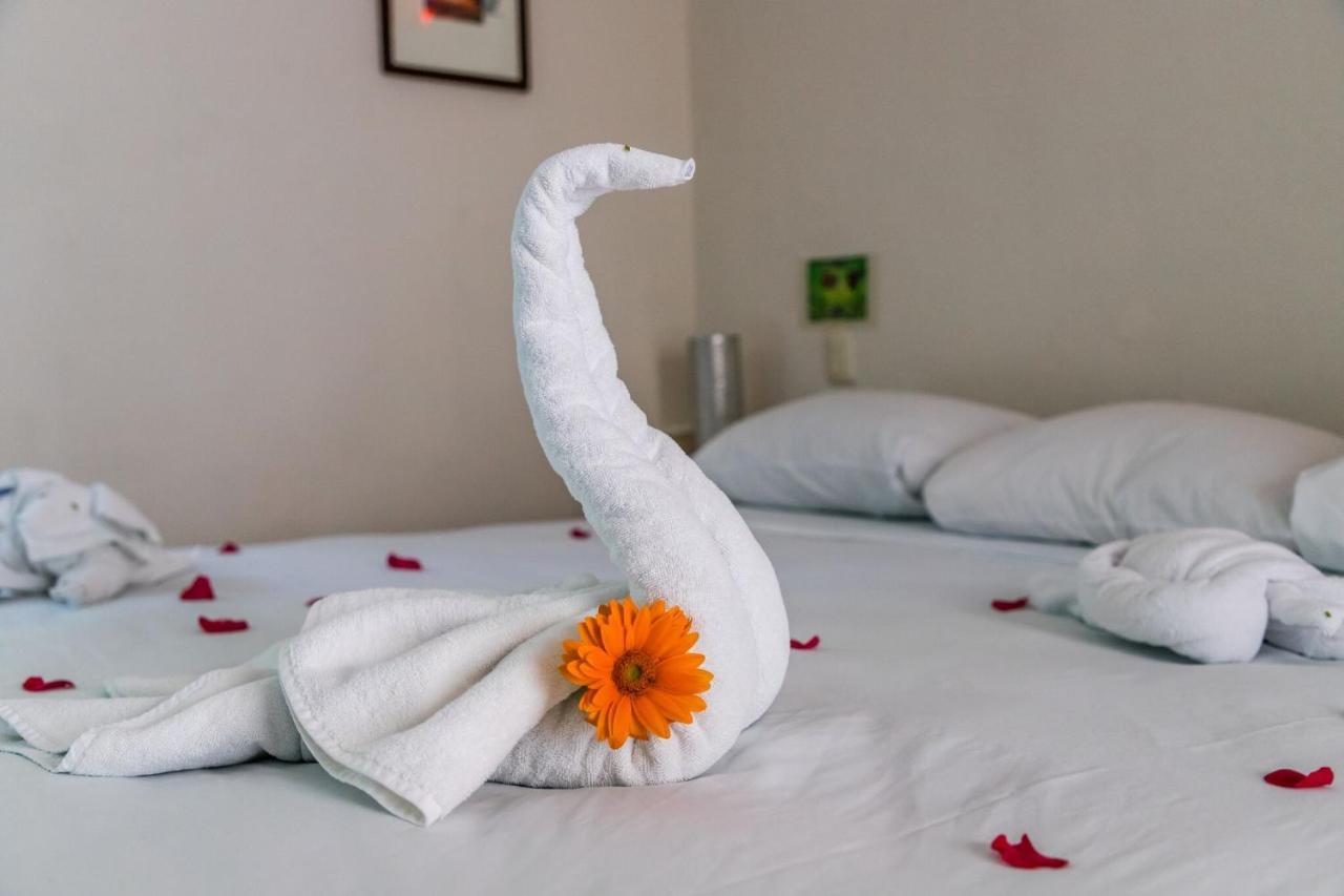 Moonshine Hotel Playa del Carmen Bagian luar foto
