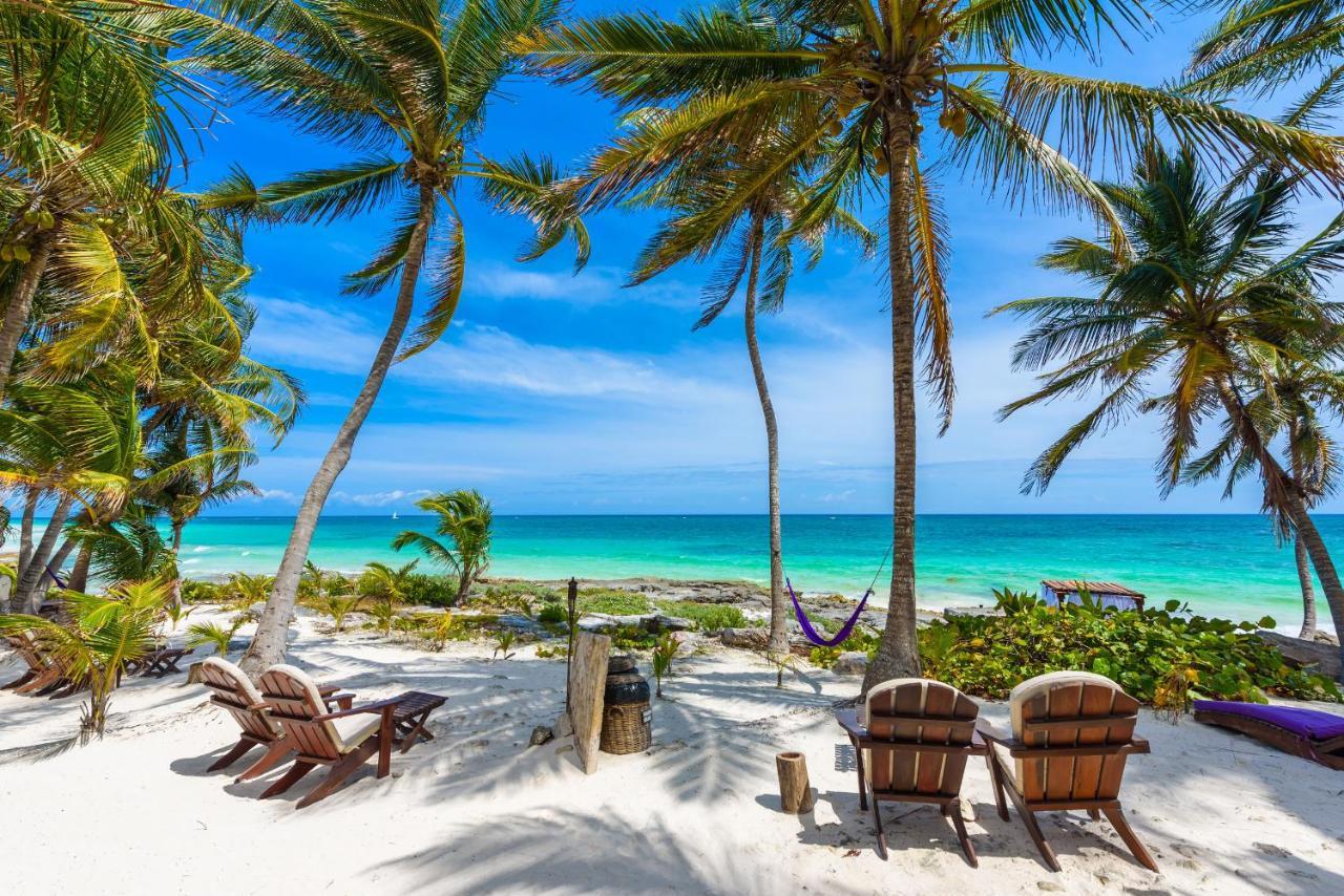 Moonshine Hotel Playa del Carmen Bagian luar foto